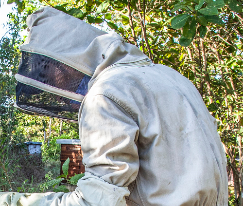De vakman verwijdert de wespen op professionele wijze vakman